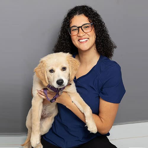 A smiling woman with curly dark hair and glasses, wearing a blue shirt, holds a light-colored puppy with a purple harness in her lap. They are sitting in front of a gray background.