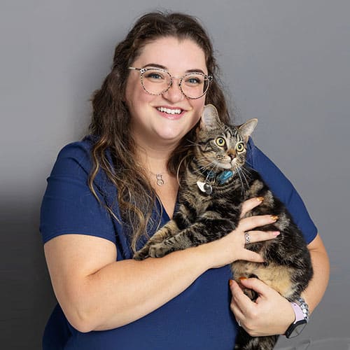 A smiling woman with long brown hair and glasses, wearing a blue shirt, holds a tabby cat with a blue collar against a plain gray background.