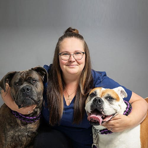 A woman with glasses and long brown hair, wearing a blue shirt, sits smiling between two large dogs. The dog on the left is dark brindle, and the dog on the right is tan and white with its mouth open.