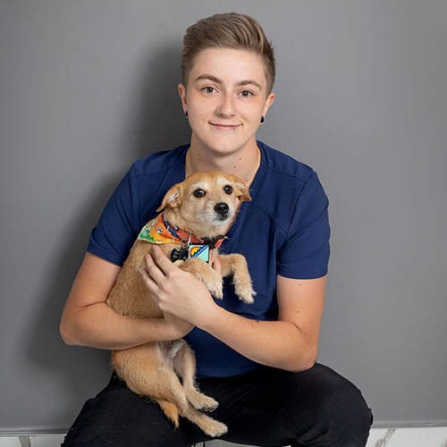 A person with short hair, wearing a blue shirt, sits against a gray wall and smiles while holding a small brown dog with a colorful bandana around its neck.