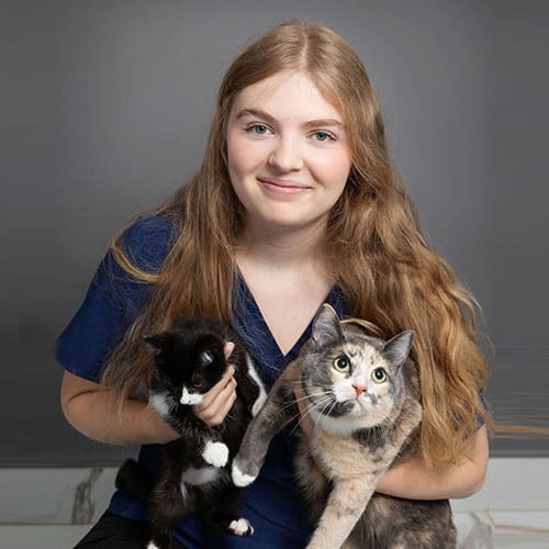 A young woman with long blonde hair, wearing a navy blue top, smiles while holding a black-and-white cat and a gray, white, and orange cat against a gray background.
